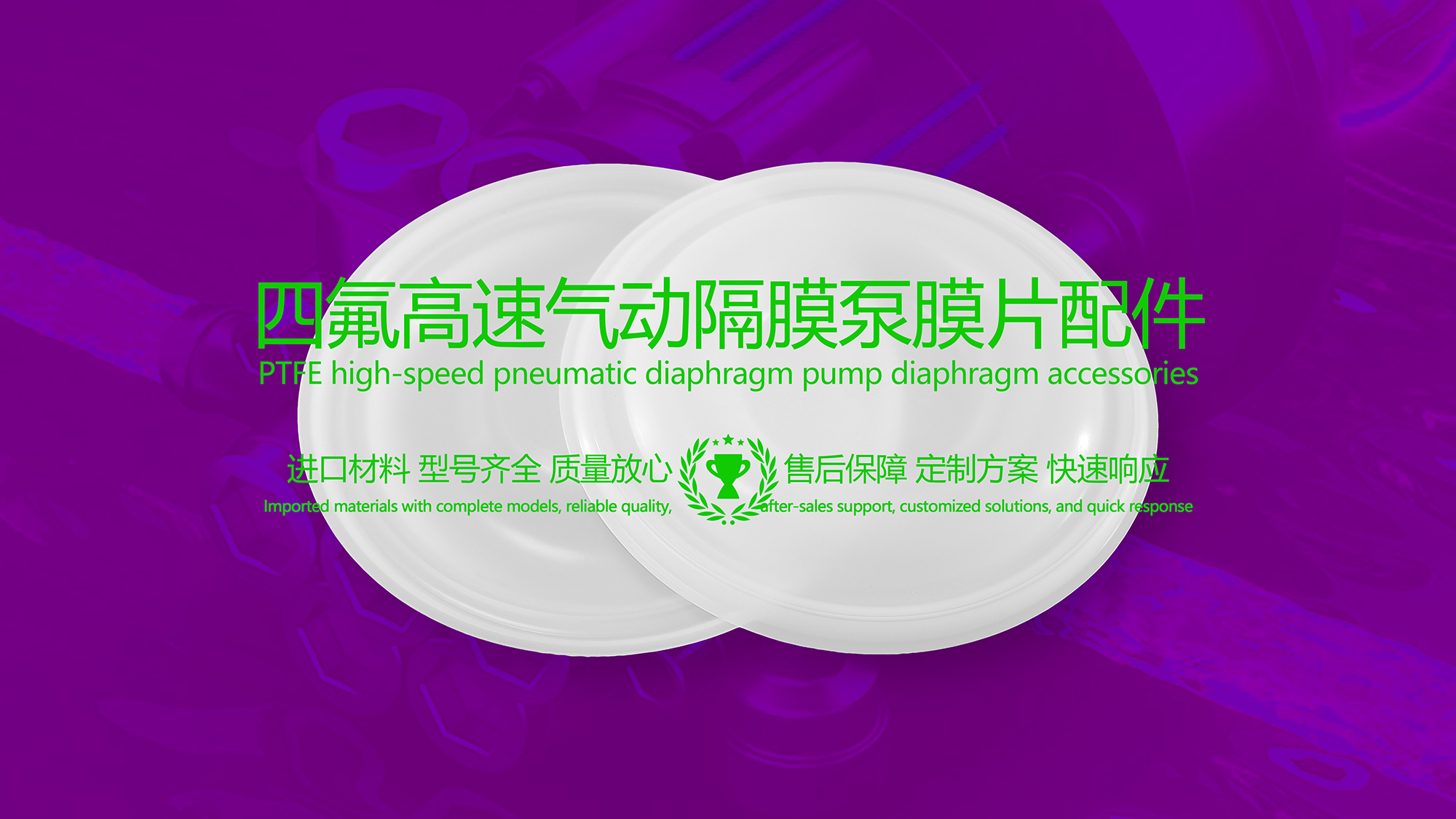 四氟高速氣動(dòng)隔膜泵膜片配件密封件密封圈油封 (2)