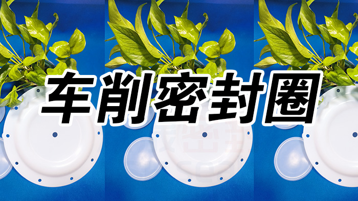 2車削密封圈，氣動隔膜泵膜片密封件